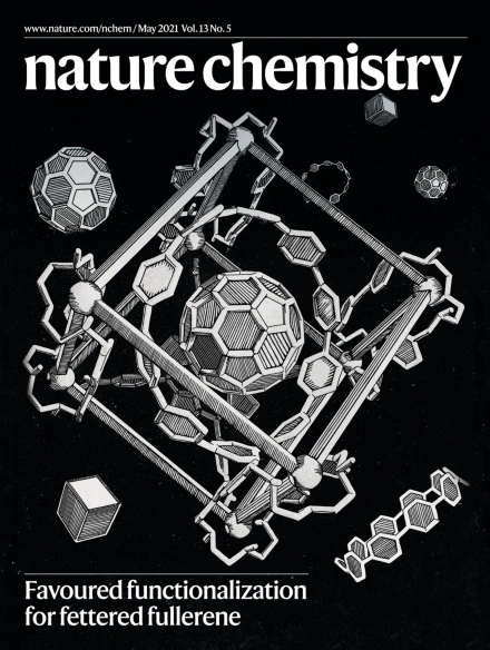 cover of journal Nature Chemistry volume 13