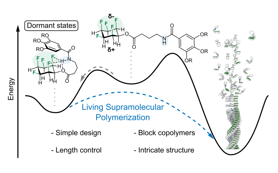 Read more about the article 42: Living Supramolecular Polymerization of Fluorinated Cyclohexanes