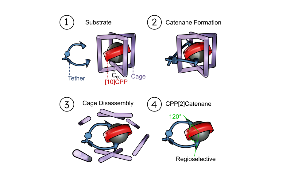 graphical abstract showing catenane synthesis with a hierarchical supramolecular complex