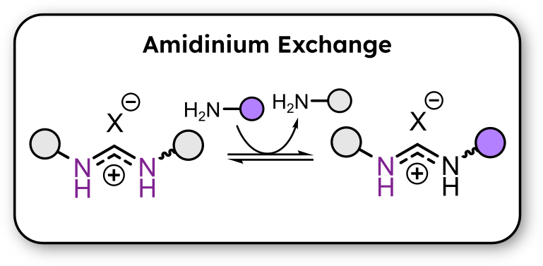 general scheme of the amidinium exchange