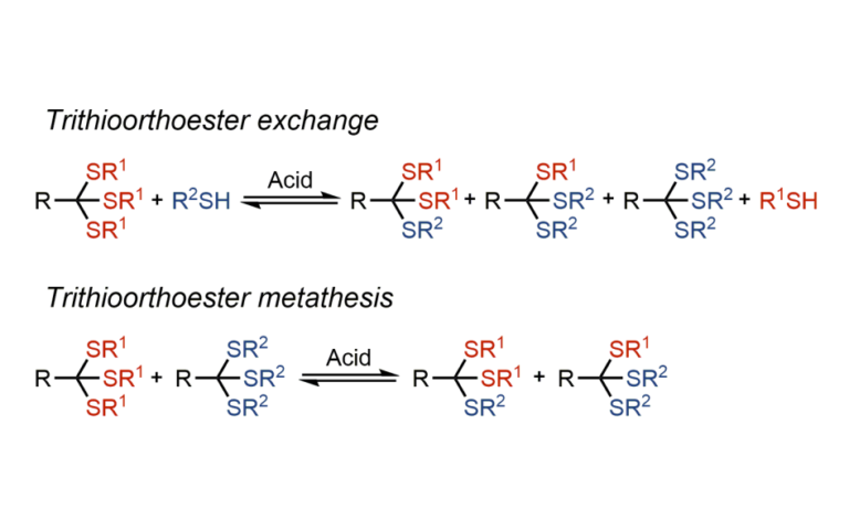 graphical abstract showing reaction schemes of trithioorthoester exchange and metathesis