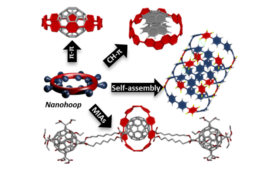 Read more about the article 35: The Supramolecular Chemistry of Strained Carbon Nanohoops
