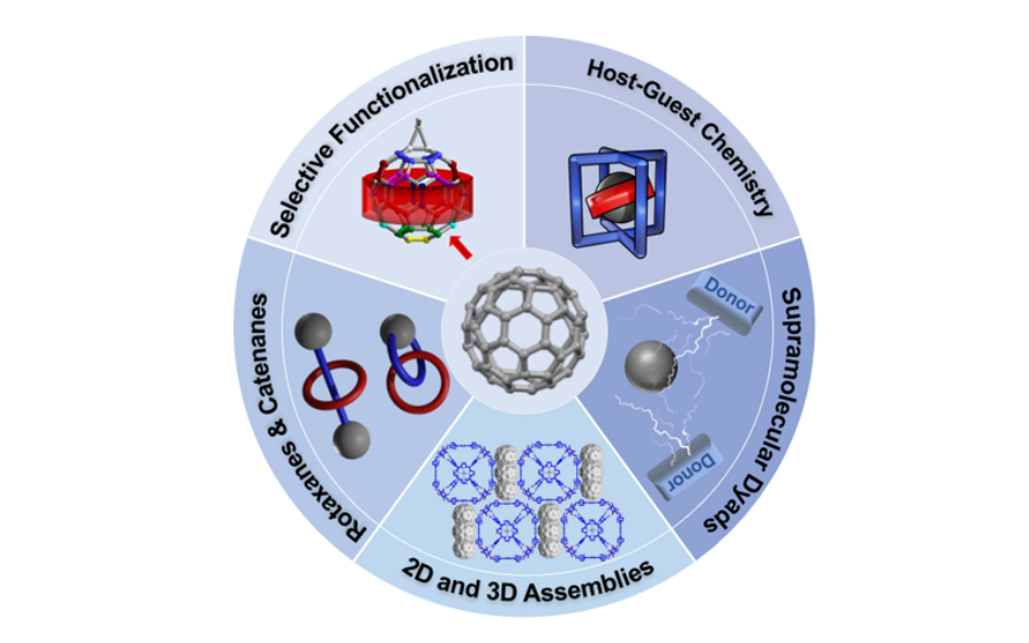 Read more about the article 61: Recent advances in supramolecular fullerene chemistry