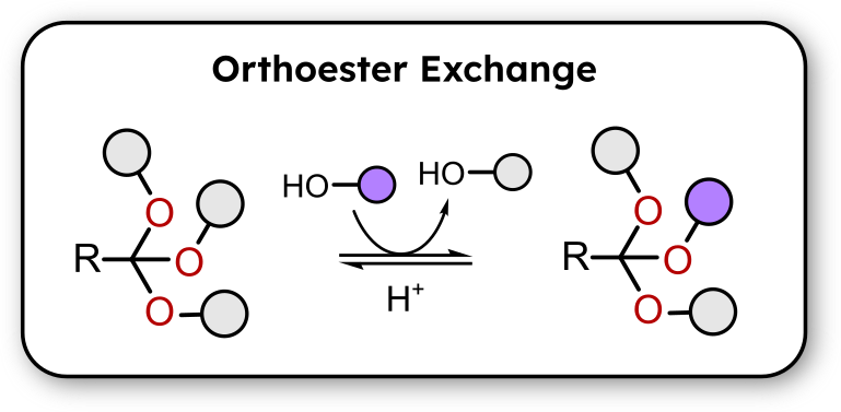 general scheme of the orthoester exchange