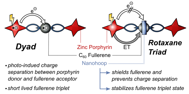 Read more about the article 70: Nanohoops Favour Light-Induced Energy Transfer over Charge Separation in Porphyrin/[10]CPP/Fullerene Rotaxanes