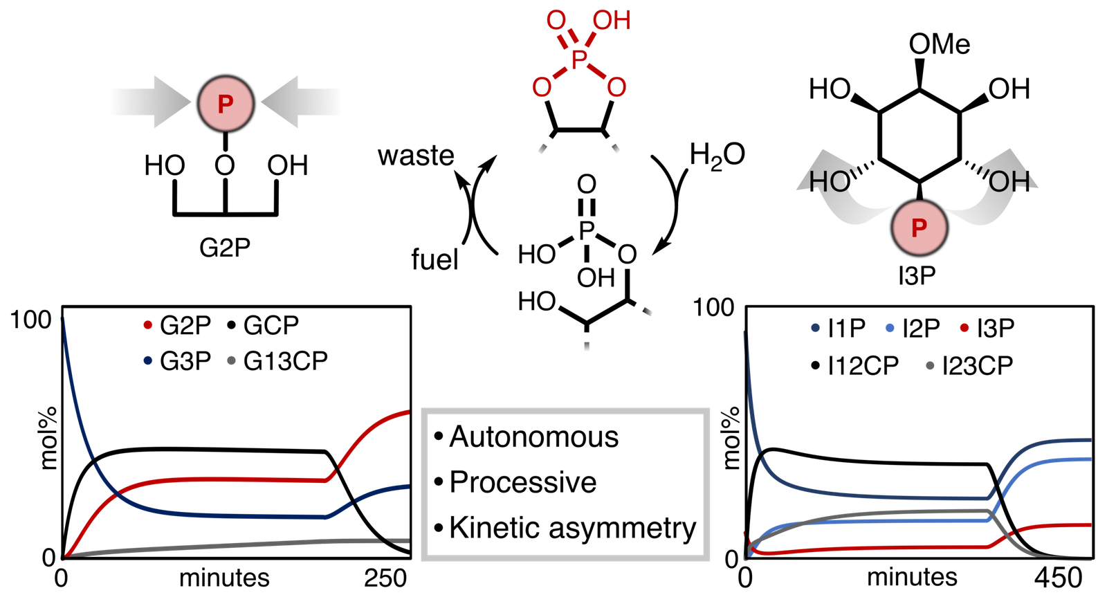 Read more about the article 86: Autonomous migration of a phosphate group along glycerol and inositol scaffolds driven by a phosphodiester reaction cycle
