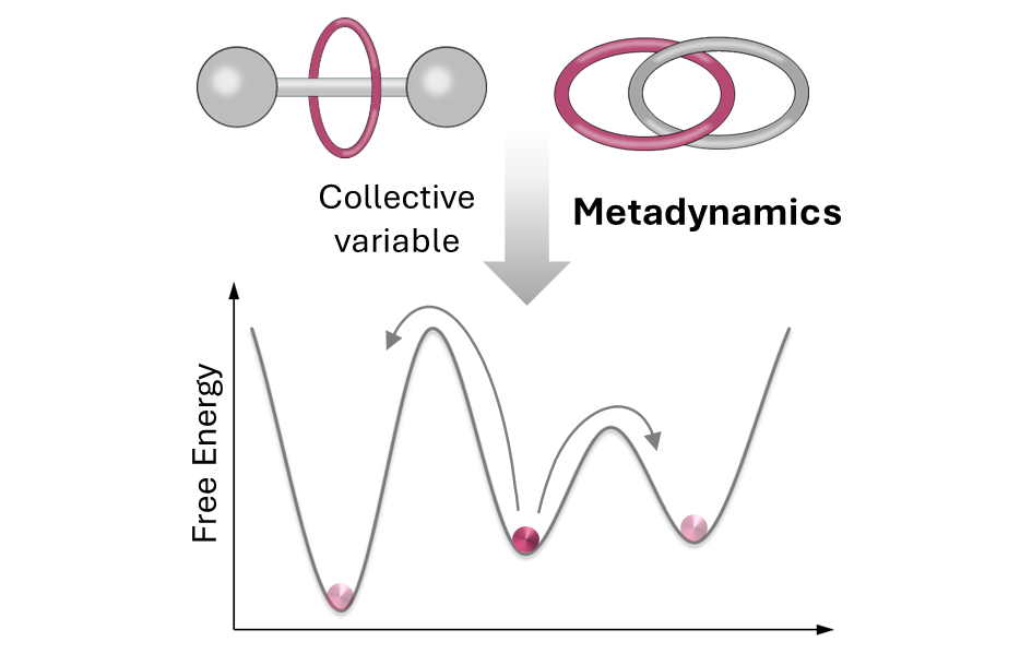 Read more about the article 84: Understanding the Dynamics of Mechanically Interlocked Molecular Systems via Metadynamics Simulations