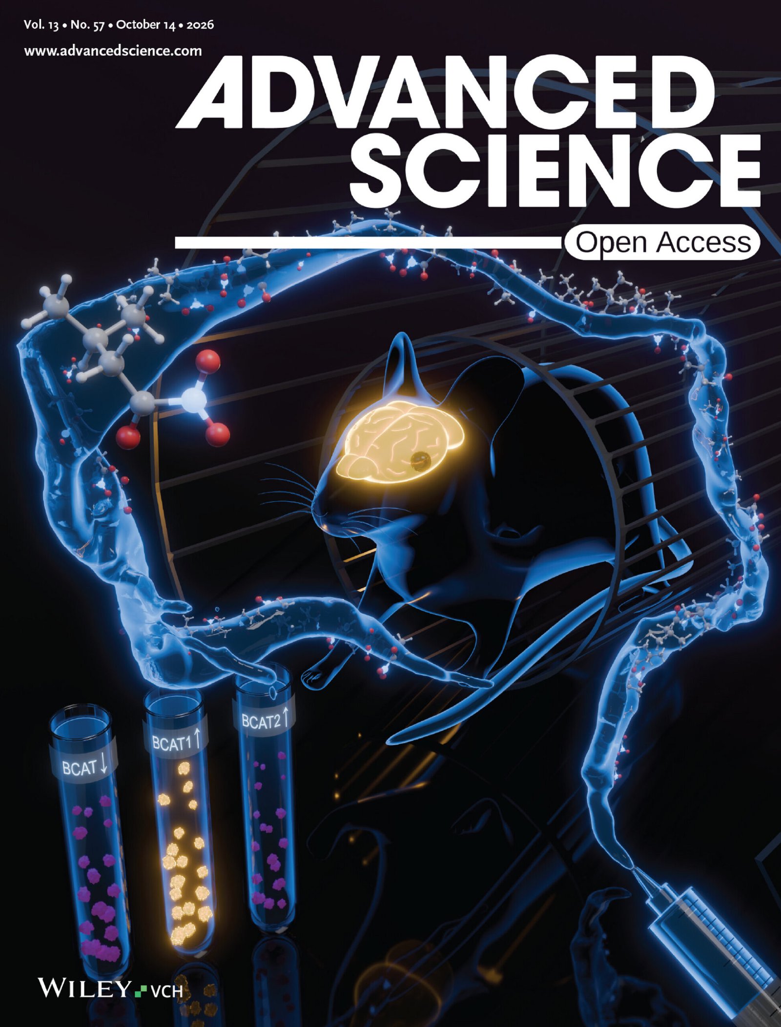 Hyperpolarization of [1-13C]Ketoisocaproate-d2 by Reversible Exchange with Parahydrogen Enables Profiling of Branched-Chain-Amino-Acid Metabolism in Cellulo and in Vivo